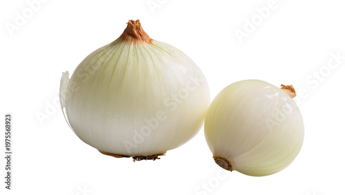 Two fresh white onions with brown roots, isolated on transparent background