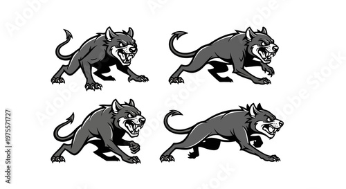 Four menacing black panthers in various stalking poses, vector illustration.
