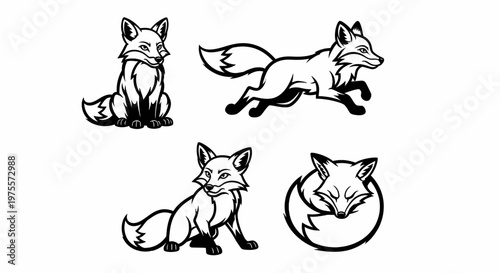 Fox Illustrations - A Collection of Black and White Fox Designs.