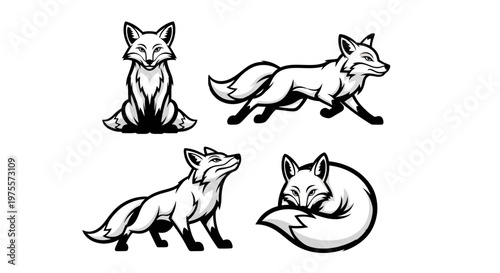 Fox Illustrations - A Collection of Black and White Fox Designs.