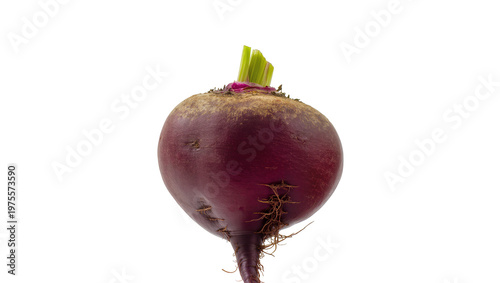 Photos Single fresh beetroot with green leaves and roots, isolated on transparent backg