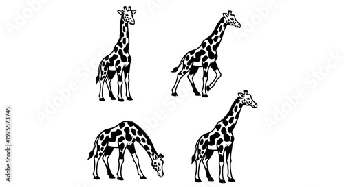 Giraffe Silhouettes - A Collection of Elegant African Wildlife Illustrations.