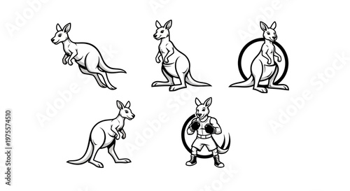 Kangaroo Illustrations - A Collection of Dynamic Poses and Boxing.