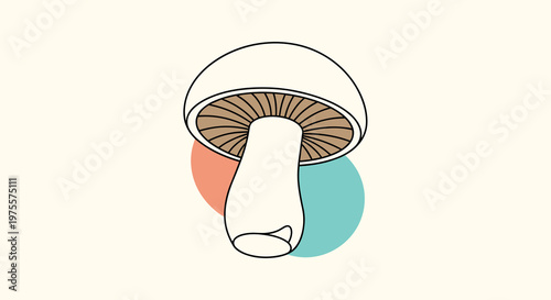 Simple hand drawn mushroom with a white cap and brown gills standing over overlapping orange and blue circular shapes.