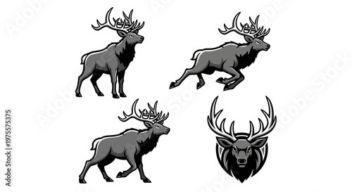 Majestic Deer Illustrations - A Collection of Antlered Wildlife in Various Poses.
