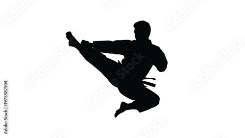 Martial artist performing a powerful flying side kick in a sharp black and white silhouette form