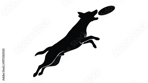 Silhouette of a dog jumping in the air to catch a flying plastic disc in a park setting
