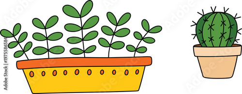 Simple cartoon houseplants with leafy planter and cactus in pot illustration