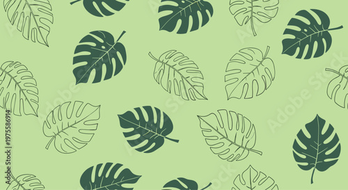 Refreshing green seamless pattern featuring various monstera deliciosa leaves in different shades and styles for tropical decor.