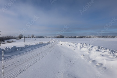 serene winter landscape with frozen fields trees and soft cloudy sky