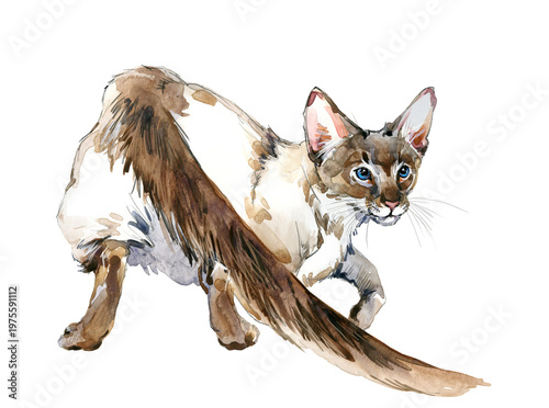 Принти на полотні Javanese cat