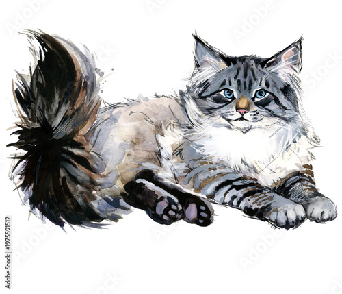 Billede på lærred Neva Masquerade cat