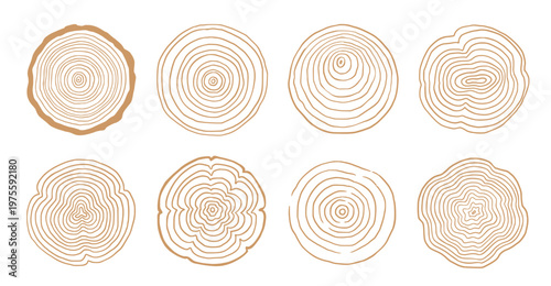 a collection of various tree ring cross-sections with diverse patterns, showcasing the timeless beauty of natural wood grain and textures.