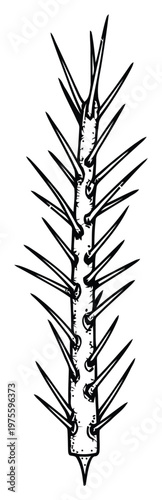 A stylized black and white thorny stem, perfect for representing danger or natural defense in various projects from botanical studies to rugged outdoors themed graphic designs