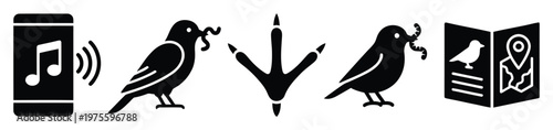 Bird watching icons illustrating bird call identification, feeding birds, a distinct bird footprint, and an ornithology field guide, perfect for nature apps and educational content.
