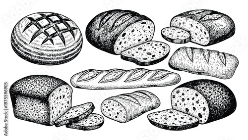 Collection of various handdrawn bread loaves and slices in a detailed vintage sketch style, perfect for bakery menus, recipe books, or food packaging designs