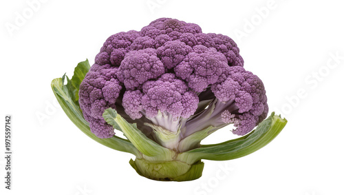 Vibrant purple cauliflower with green leaves, isolated on transparent background