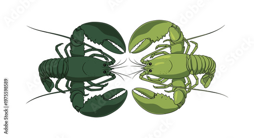 Two green lobsters, one dark and one light, facing each other in a symmetrical arrangement on a white background.