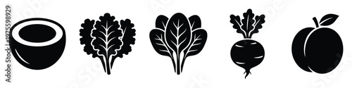 Essential vector glyphs showcasing nutritious whole food ingredients such as coconut lettuce spinach beet and plum ideal for healthy eating guides and dietary product branding