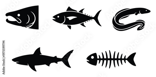 Collection of various aquatic creatures and fish skeleton silhouettes ideal for marine biology education materials fishing industry logos and seafood restaurant menus