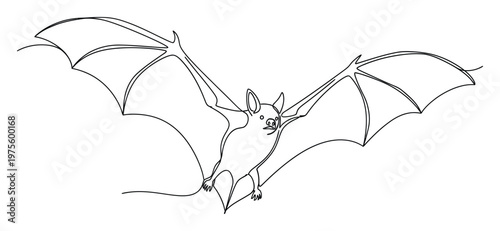 Dynamic single line drawing depicting a gracefully soaring bat in midflight, suitable for minimalist logos, natural history publications, or wildlife conservation awareness materials.