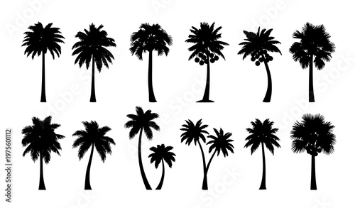 Black palm tree silhouette vector illustration set