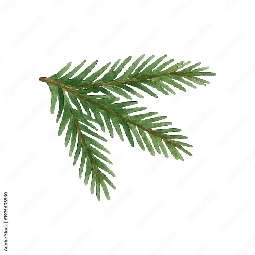 Fototapeta premium Watercolor green Christmas tree branch. Holiday decor, hand drawn, isolated on white for holiday decor. 