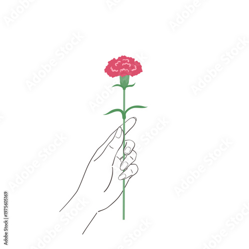 Carnation Flower Gift for Mother's Day Hand Holding Woman Vector Illustration