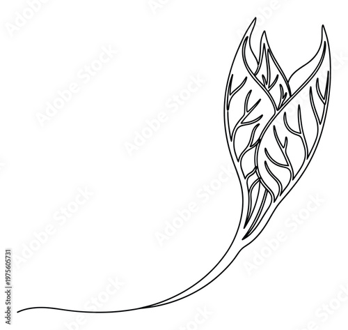 Elegant minimalist line illustration showcasing two organic plant leaves with detailed veins on a gracefully curving stem ideal for wellness promotions, ecofriendly product packaging, and