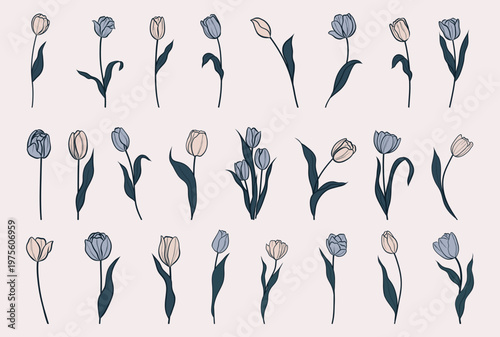 Minimalist Tulip Line Art Set, Elegant Botanical Floral Illustration Bundle, Modern Hand Drawn Flowers Collection