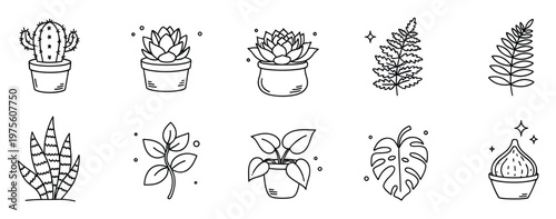 Collection of hand drawn outline houseplant icons including potted cactus, succulent, fern leaves and various decorative botanical elements for modern home decor and garden graphic resources