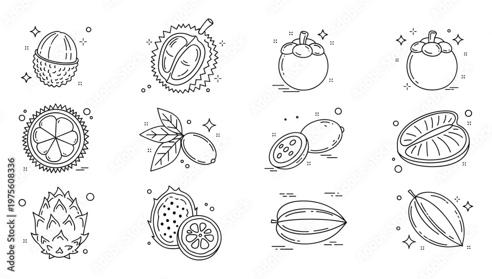 Obraz premium Exotic tropical fruit line icons featuring lychee durian mangosteen kumquat dragon fruit star fruit and cacao pod perfect for healthy food menus recipe books and nutrition websites