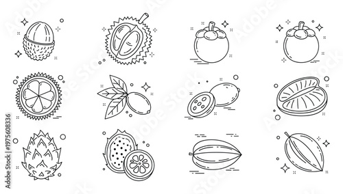 Exotic tropical fruit line icons featuring lychee durian mangosteen kumquat dragon fruit star fruit and cacao pod perfect for healthy food menus recipe books and nutrition websites