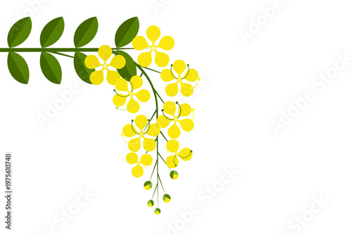 Illustration of golden shower flowers  in bloom, symbolising Vishu festival, prosperity, and the vibrant beauty of spring in Kerala, India