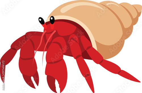 Red hermit crab. Sea shell. Crawfish in a seashell. Sea animal. Beach. Perfect for ocean wildlife education kids illustrations marine branding and friendly animal artwork