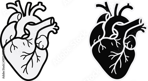 Human heart illustration, anatomical heart line art in two versions white and black background minimalist medical scientific illustration frontal view