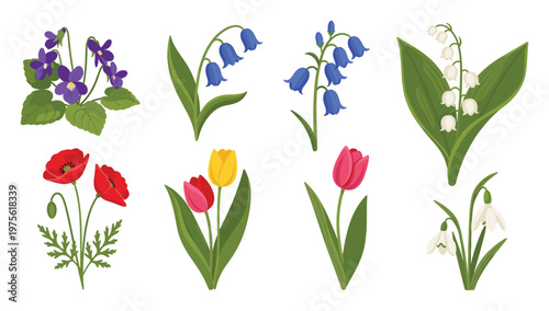 Assortment of vibrant spring flowers including violets bluebells lily of the valley poppies tulips and snowdrops perfect for seasonal greeting cards invitations and floral nature themed