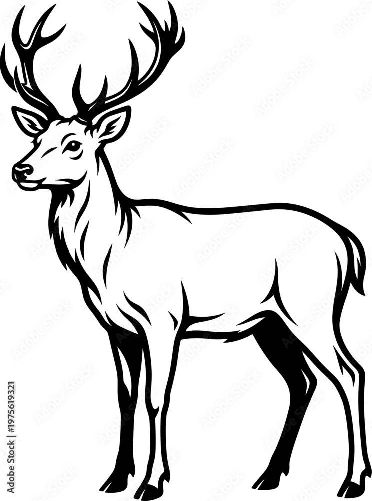 Obraz premium Animals Silhouette