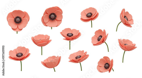 3D multi angle pink poppy flower asset sheet