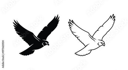 Black White Flying Raptors Symbolic Art Vector