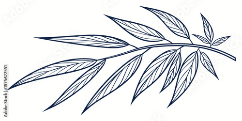 A single feather with intricate patterns and barbs visible