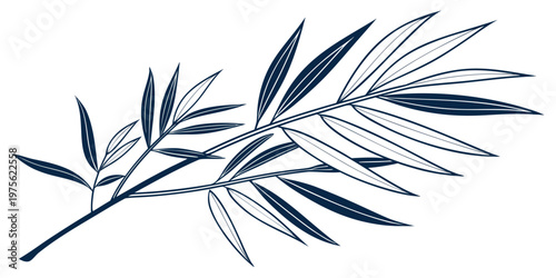 Delicate white feather with intricate barbs and quill detail