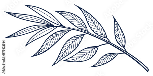 Close-up view of a cluster of pine needles with sharp tips