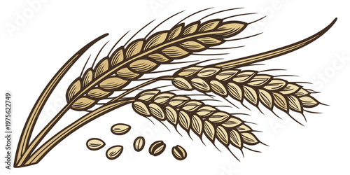 Close-up view of a delicate fern plant with intricate fronds