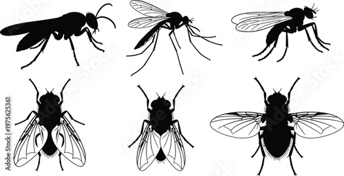 Set of fly and mosquito insect silhouettes isolated on white background, pest collection, vector illustration, entomology study, flying insects, detailed winged bug shapes