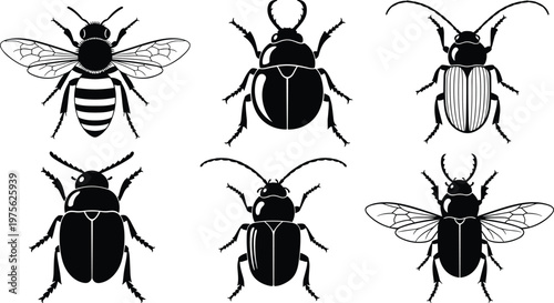 Set of insect silhouettes including bee and beetles isolated on white background, entomology collection, bug icons, nature illustration, biodiversity concept, detailed insect shapes
