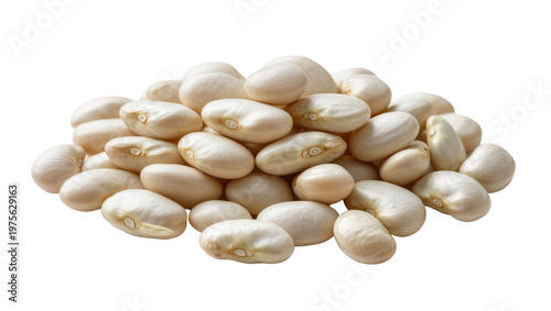 Pile of dried white kidney beans, isolated on transparent background