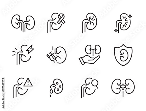 Kidney Medical Icon Set icon, button, vector, sign, symbol, logo, illustration, editable stroke and flat design style isolated on white linear pictogram