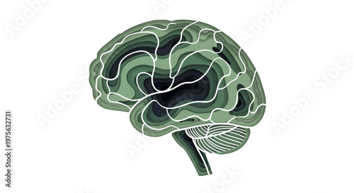 Stylized layered illustration of a human brain in shades of green and white, representing thought and complexity.