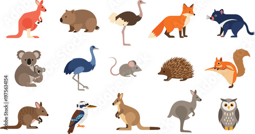 Australian Wildlife Animal Character Set Featuring Kangaroo Koala Wombat Emu Dingo Platypus and Native Fauna Cartoon Illustration Collection